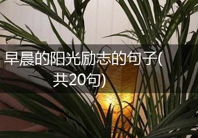早晨的阳光励志的句子(共20句)
