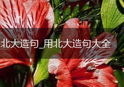 北大造句_用北大造句大全