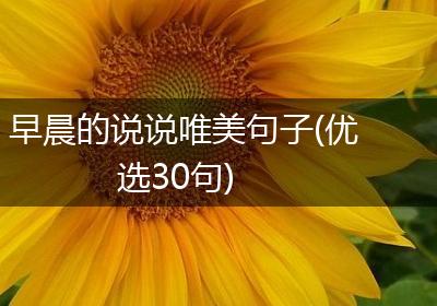 早晨的说说唯美句子(优选30句)
