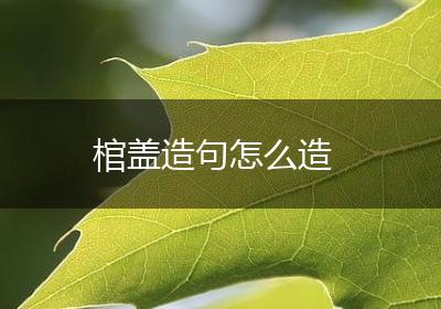 棺盖造句怎么造