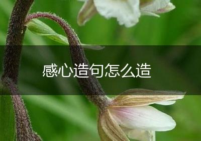 感心造句怎么造