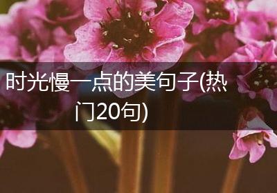 时光慢一点的美句子(热门20句)