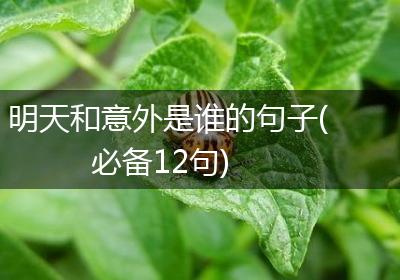 明天和意外是谁的句子(必备12句)
