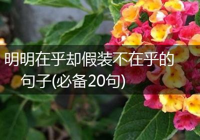 明明在乎却假装不在乎的句子(必备20句)