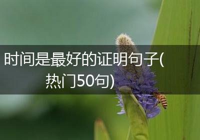 时间是最好的证明句子(热门50句)
