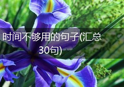 时间不够用的句子(汇总30句)