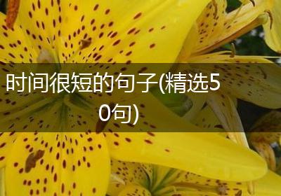 时间很短的句子(精选50句)