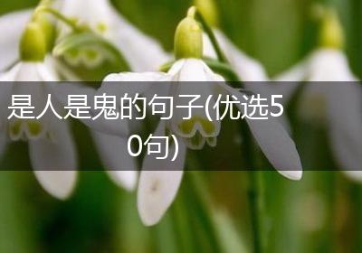 是人是鬼的句子(优选50句)