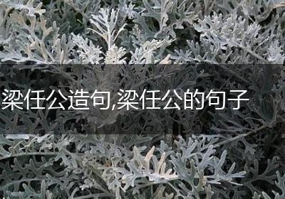 梁任公造句,梁任公的句子