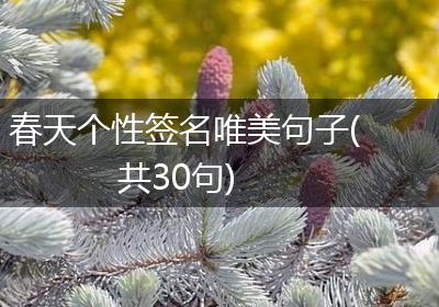 春天个性签名唯美句子(共30句)