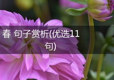 春 句子赏析(优选11句)