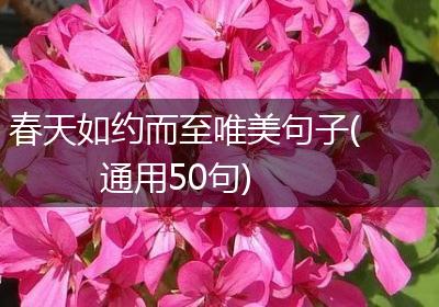 春天如约而至唯美句子(通用50句)