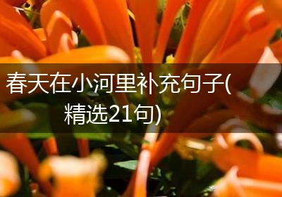 春天在小河里补充句子(精选21句)