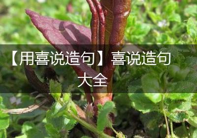 【用喜说造句】喜说造句大全