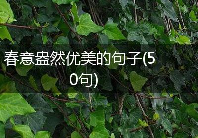 春意盎然优美的句子(50句)