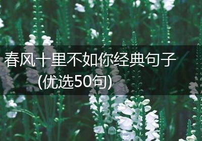 春风十里不如你经典句子(优选50句)