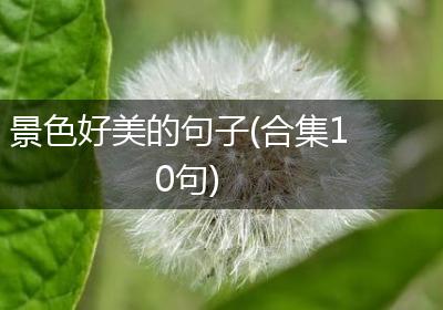 景色好美的句子(合集10句)