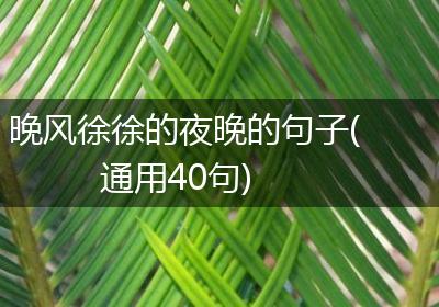 晚风徐徐的夜晚的句子(通用40句)