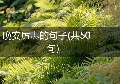 晚安厉志的句子(共50句)