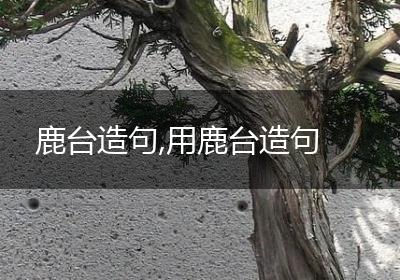 鹿台造句,用鹿台造句