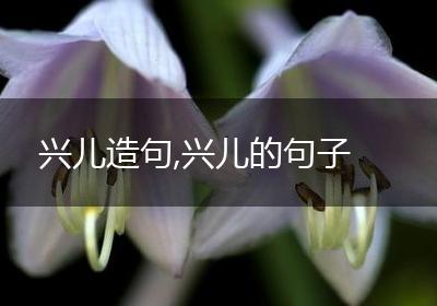 兴儿造句,兴儿的句子