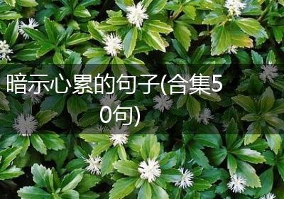 暗示心累的句子(合集50句)