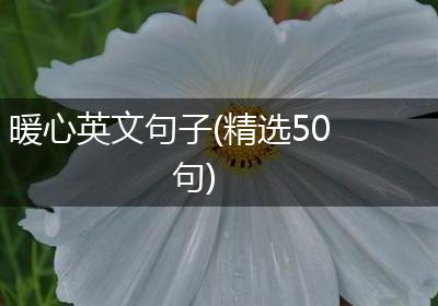 暖心英文句子(精选50句)