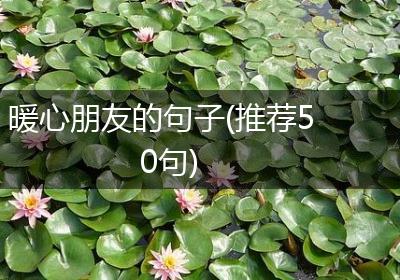 暖心朋友的句子(推荐50句)