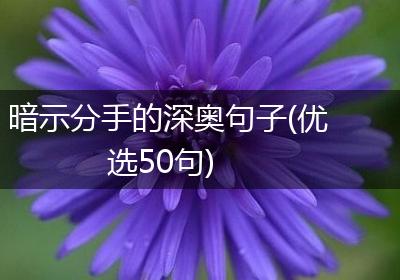 暗示分手的深奥句子(优选50句)