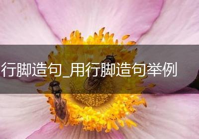 行脚造句_用行脚造句举例