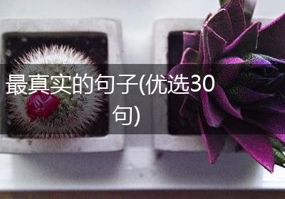 最真实的句子(优选30句)