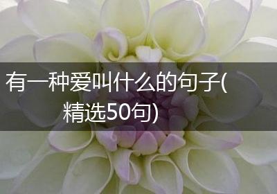 有一种爱叫什么的句子(精选50句)
