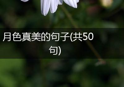 月色真美的句子(共50句)
