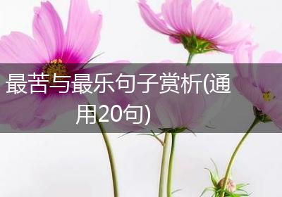 最苦与最乐句子赏析(通用20句)