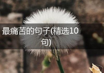 最痛苦的句子(精选10句)