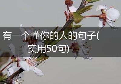 有一个懂你的人的句子(实用50句)