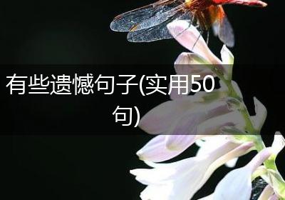 有些遗憾句子(实用50句)