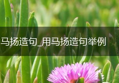 马扬造句_用马扬造句举例