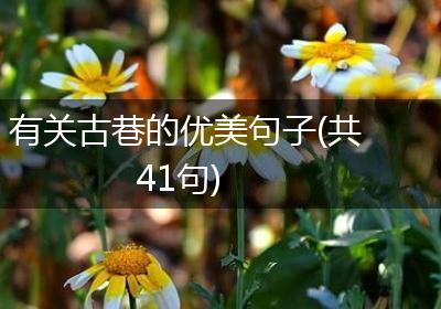 有关古巷的优美句子(共41句)