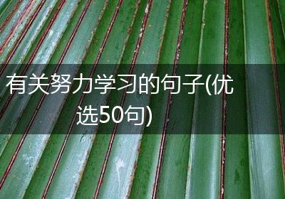 有关努力学习的句子(优选50句)