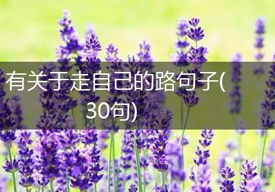有关于走自己的路句子(30句)