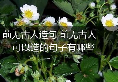前无古人造句 前无古人可以造的句子有哪些