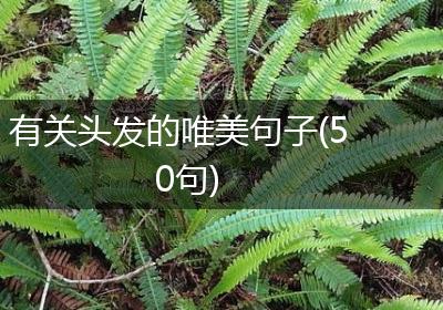 有关头发的唯美句子(50句)