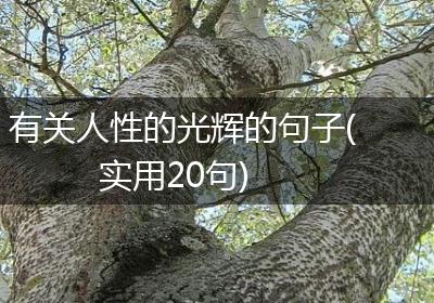 有关人性的光辉的句子(实用20句)