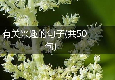 有关兴趣的句子(共50句)
