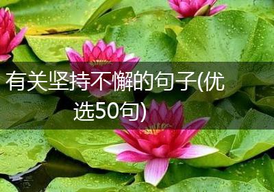 有关坚持不懈的句子(优选50句)