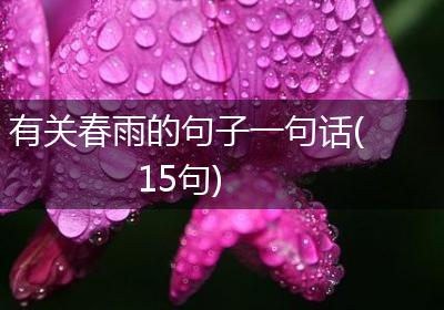 有关春雨的句子一句话(15句)