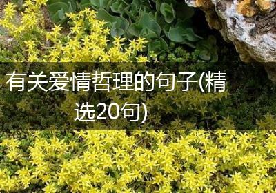 有关爱情哲理的句子(精选20句)