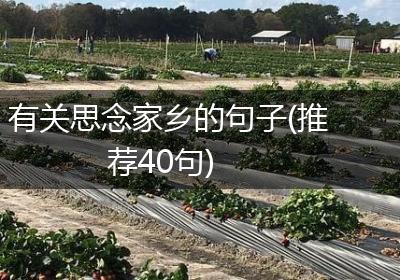 有关思念家乡的句子(推荐40句)