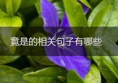 竟是的相关句子有哪些